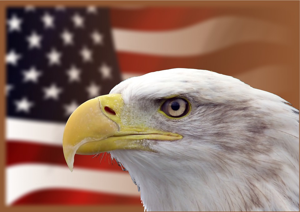 Cyber Insecurity: Securing the Vote in the USA 2020 Election