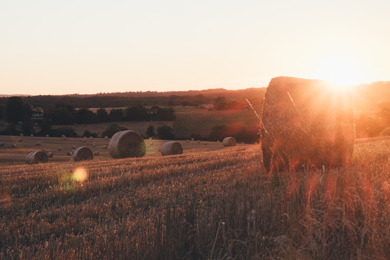 Oxford Farming Conference makes history with new Co-Chairs