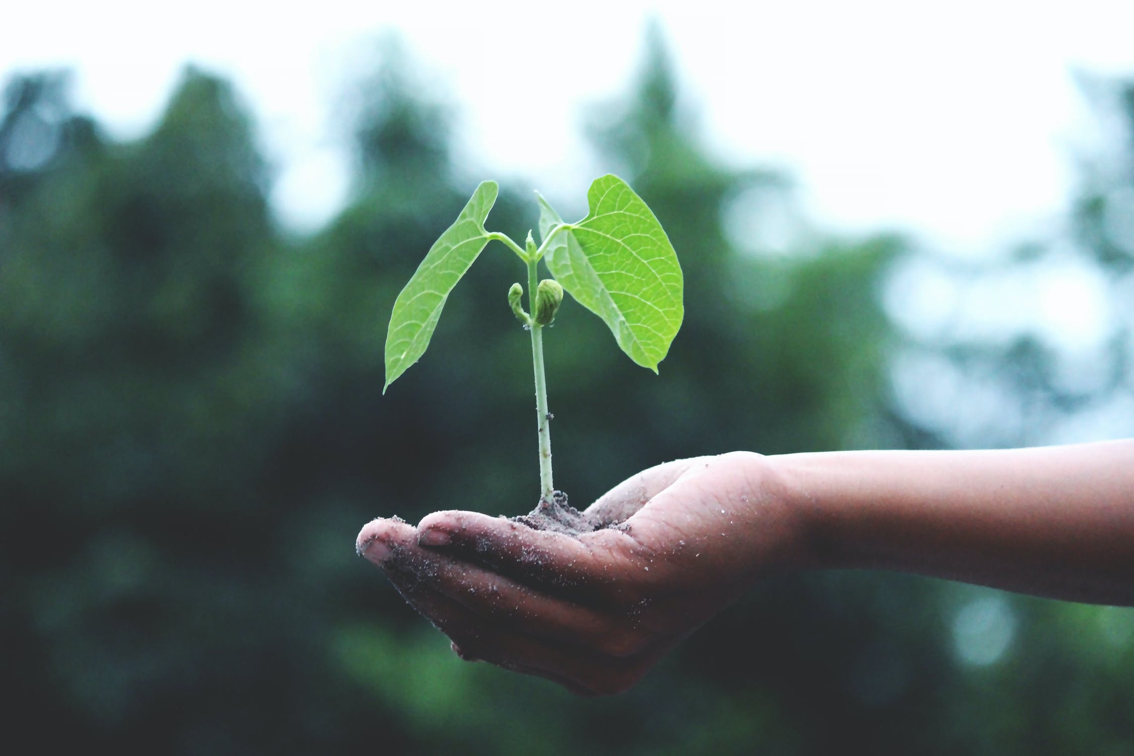SASC’s latest Impact Report highlights growth and resilience, with £43.8m of new investments into 14 organisations