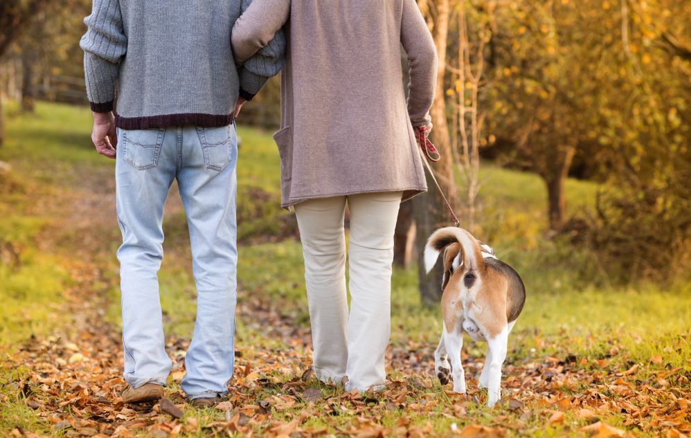 Rise to the challenge of engaging members with their DB Pensions says Stoneport