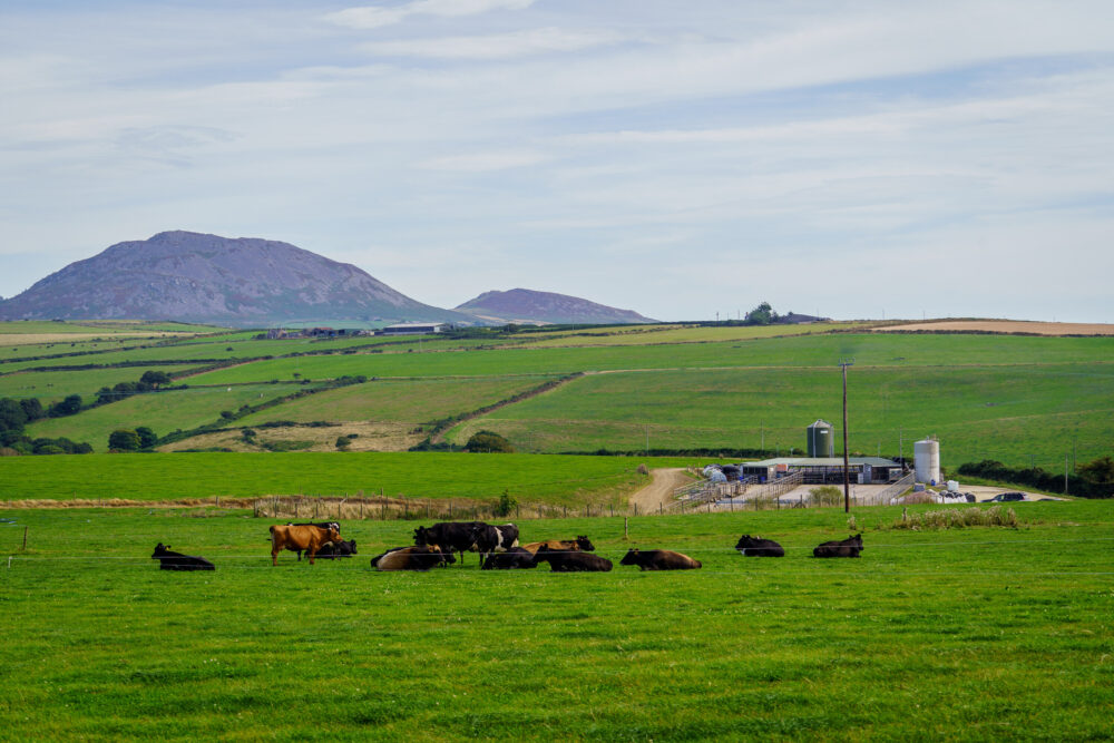 Production at revolutionary £20m net-zero dairy to begin this summer