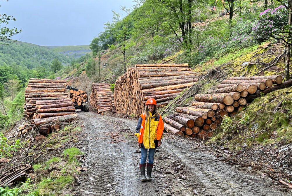 Forestry giants unite to launch new skills programme with land-based college