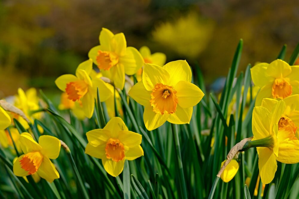 Spring into action and discover the benefits of renting in retirement