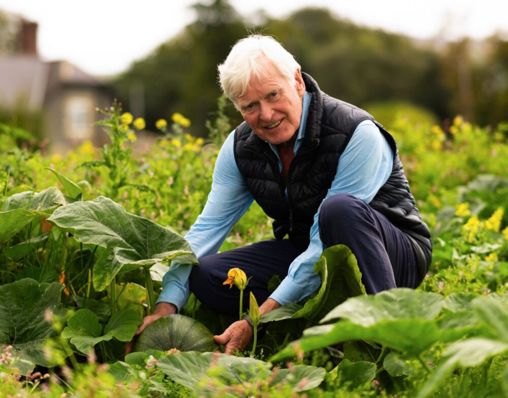 Organic farm estate growing thousands of pumpkins for inaugural Halloween celebrations