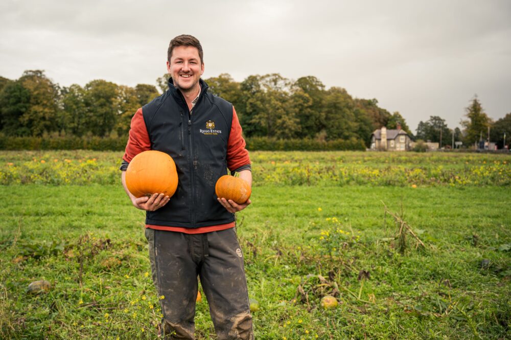 A frightening 3,000+ pumpkins to choose from at organic farm estate this Halloween