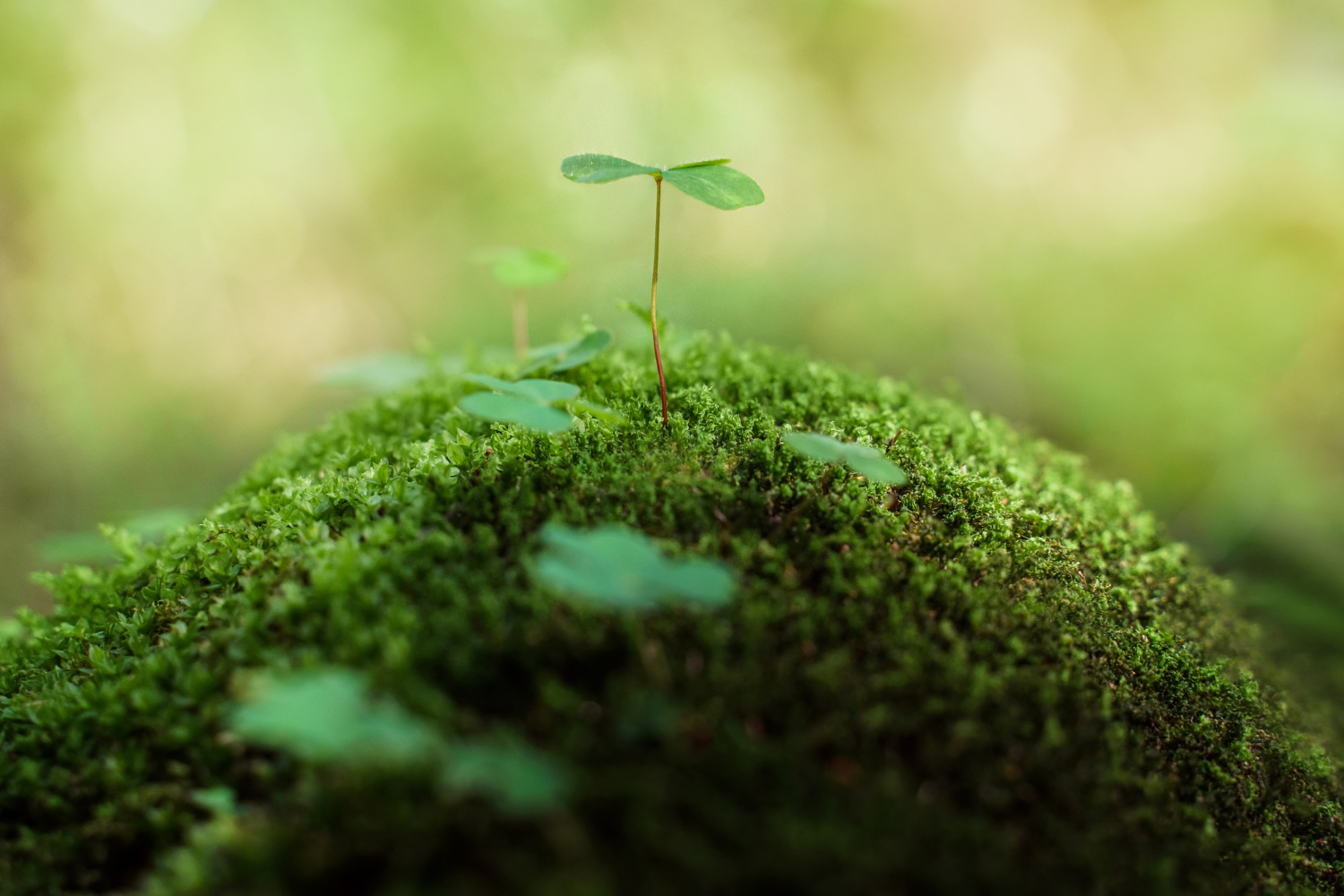 Speakers shaping our future: New poll reveals the world’s top speakers guiding business leaders’ on sustainability