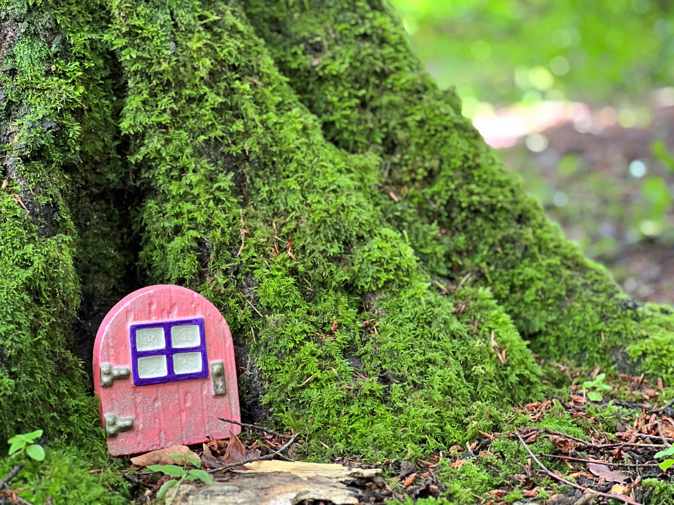 Gregynog Forest Fairy Trail opens for August Bank Holiday Weekend