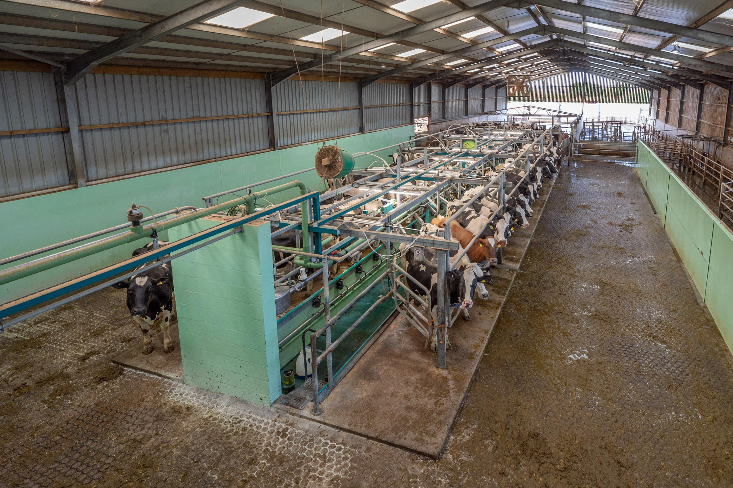 End of era as family’s £4.25m dairy farm bordering Cotswolds goes up for sale