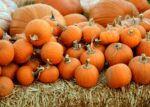 pile of orange squash