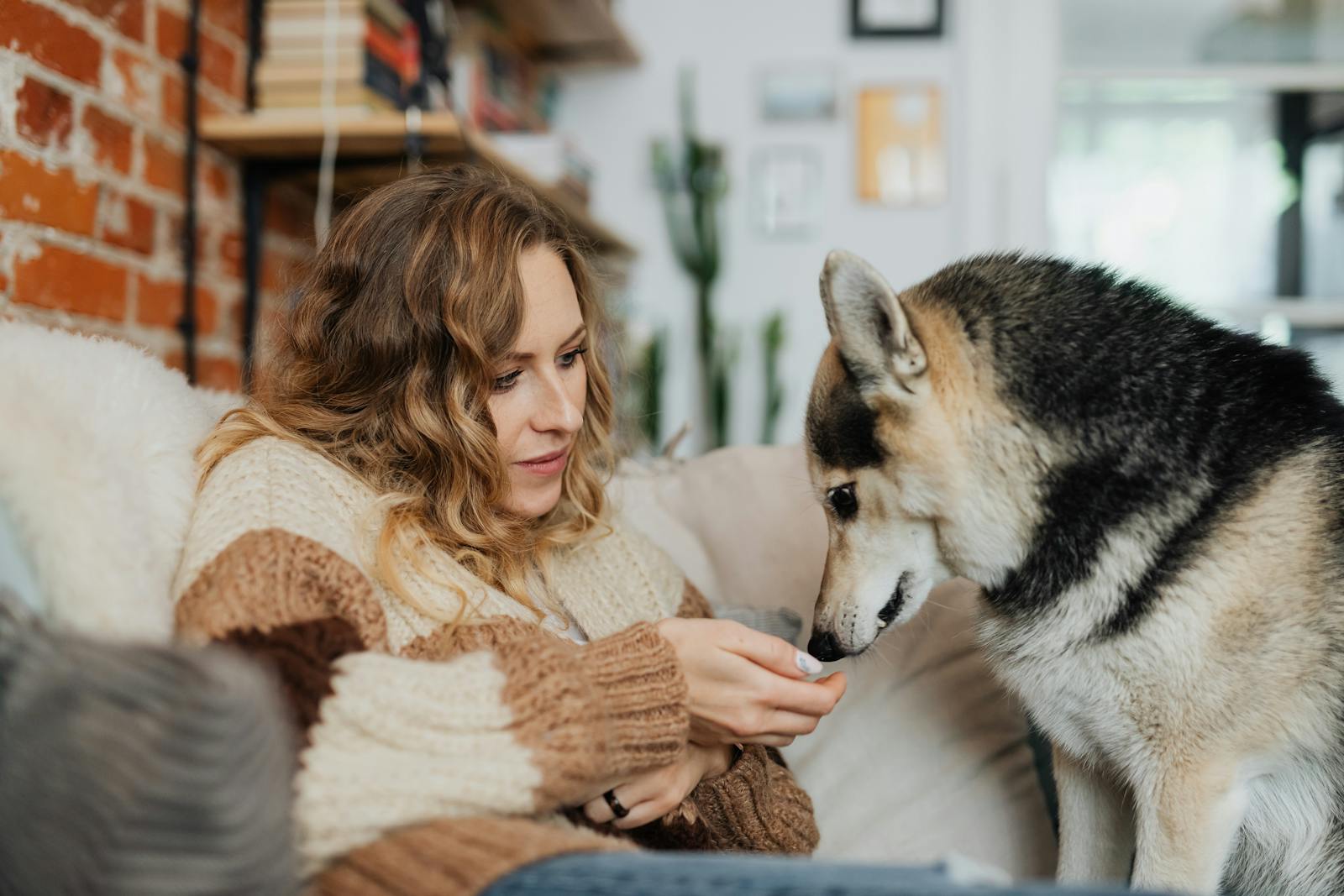 Why Homesitting could be the best New Year’s Resolution of all