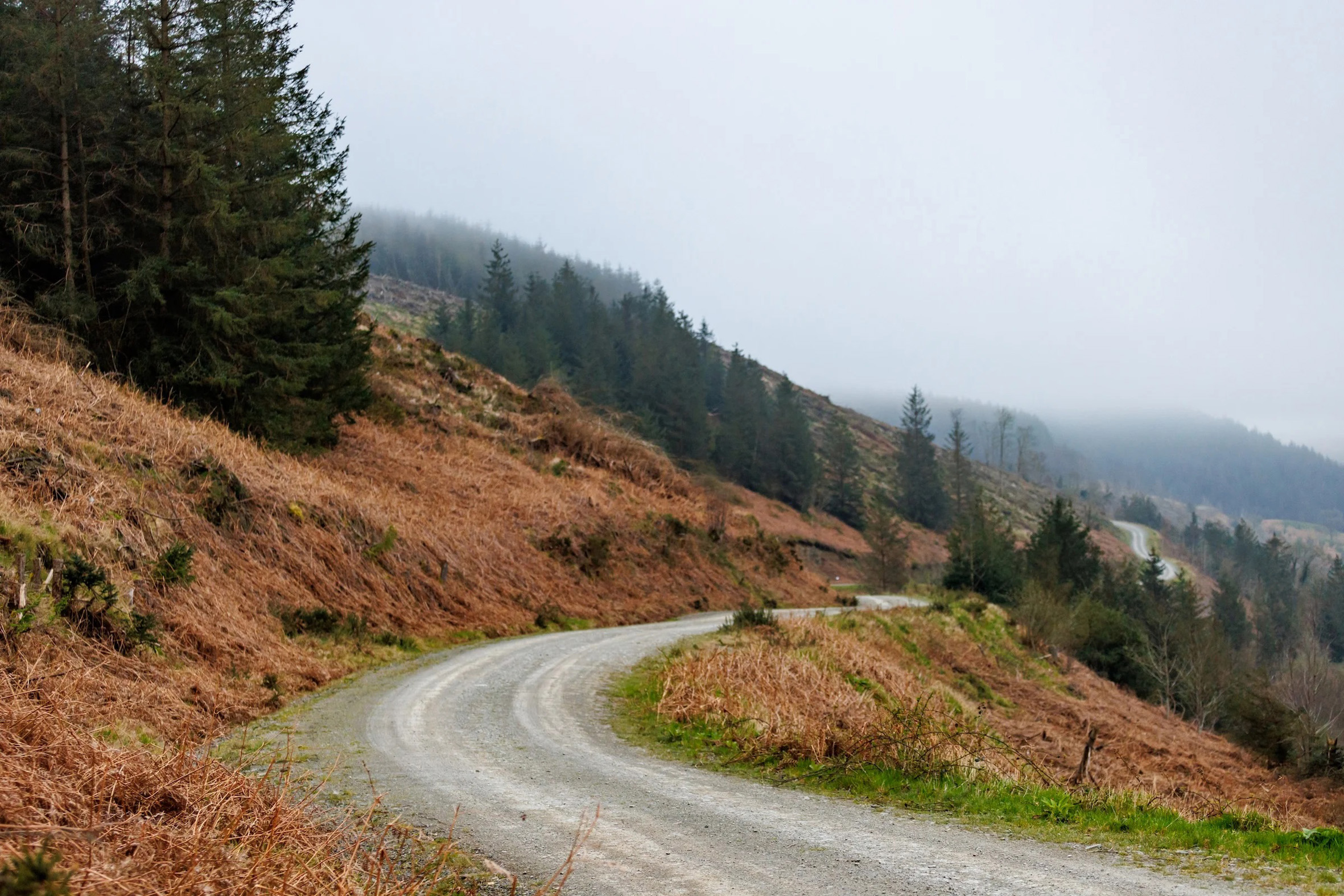Storm damage in Mid Wales forests cancels Severn Valley Stages Rally