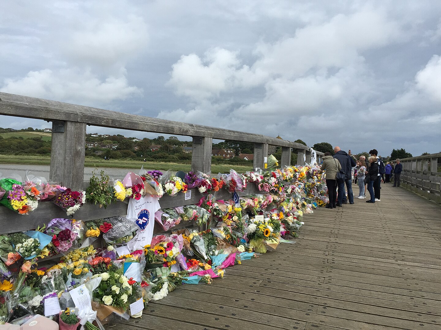 New Book Exposes Fresh Questions About the Shoreham Airshow Tragedy