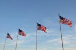A row of american flags blowing in the wind