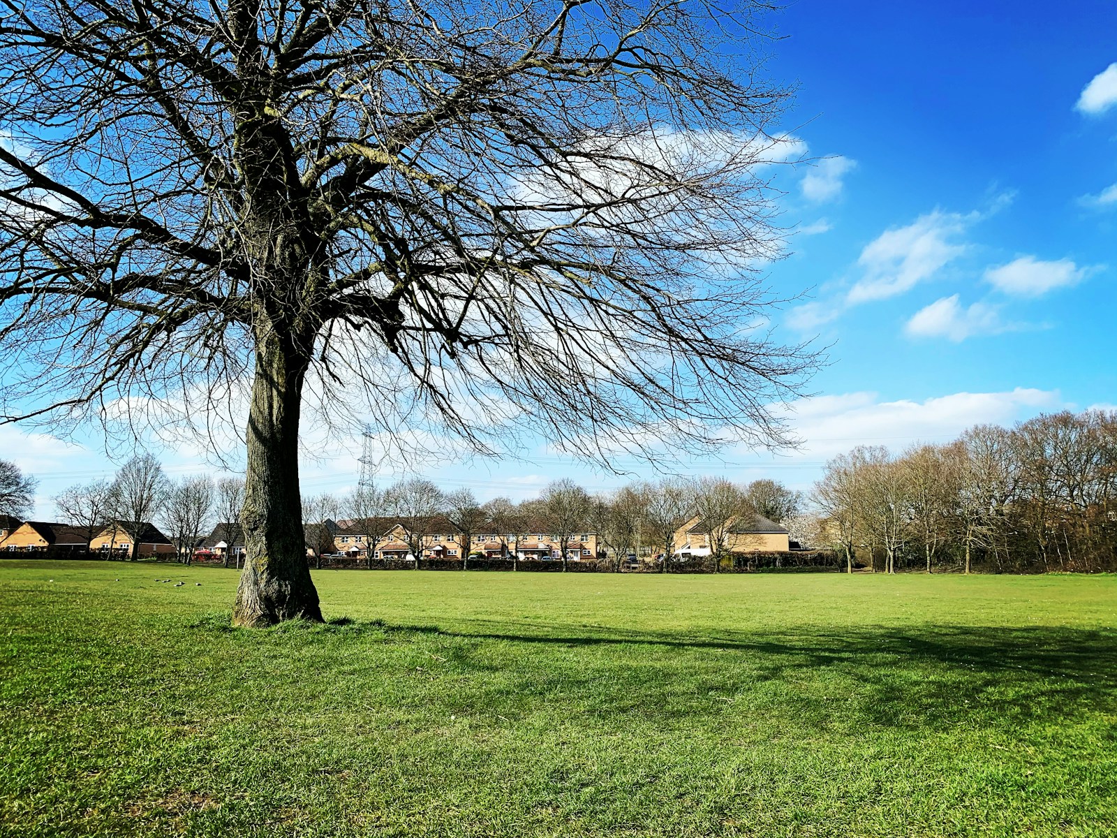 Taylor Walton Solicitors celebrates 35 years serving clients in Hertfordshire and Bedfordshire