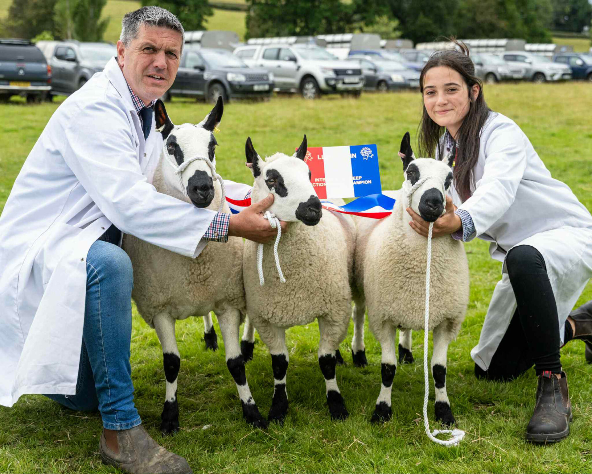 Organisers delighted with record breaking Llanfyllin Show