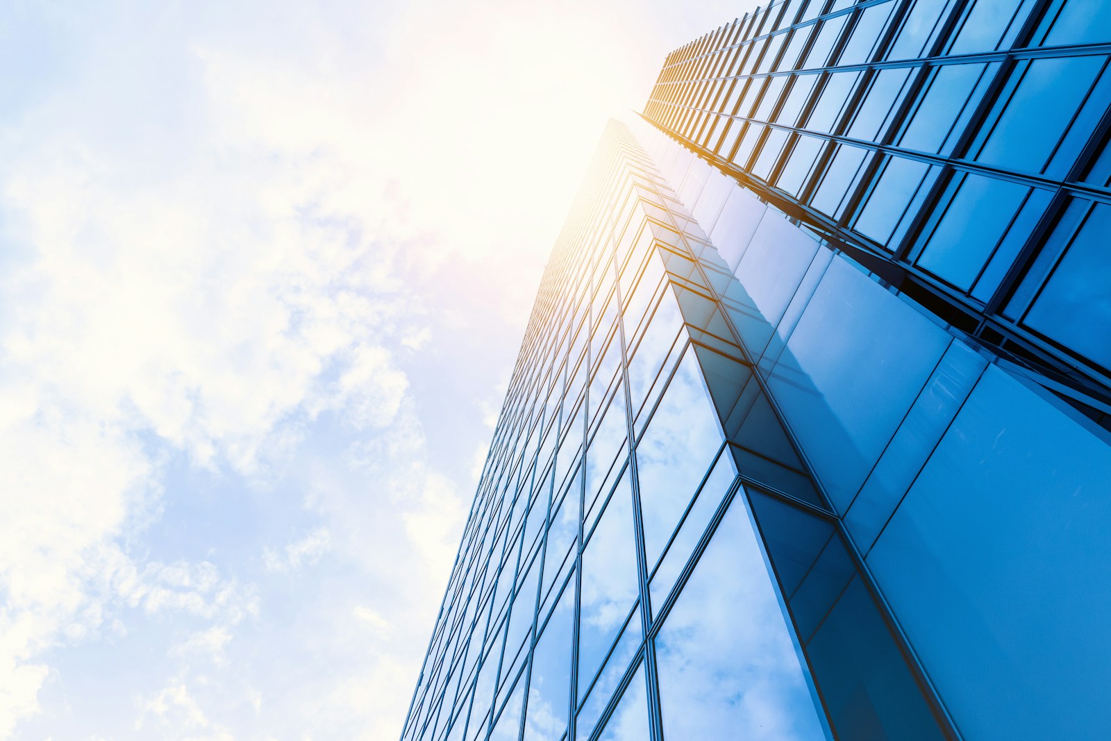 Vidett strengthens team with four new appointments to support growth
