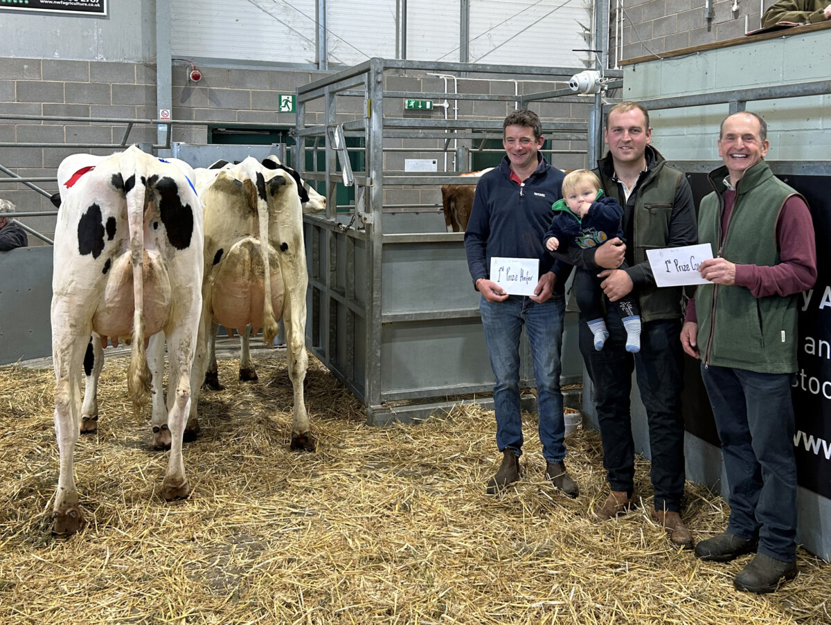 “Phenomenal” trade at Shrewsbury for respected dairy herd dispersal sale