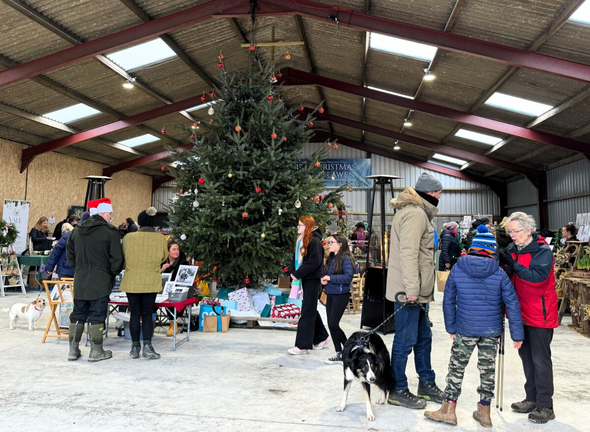 Festive Fun, Food and Family Adventures This Season