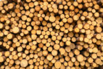 stack of brown wooden logs