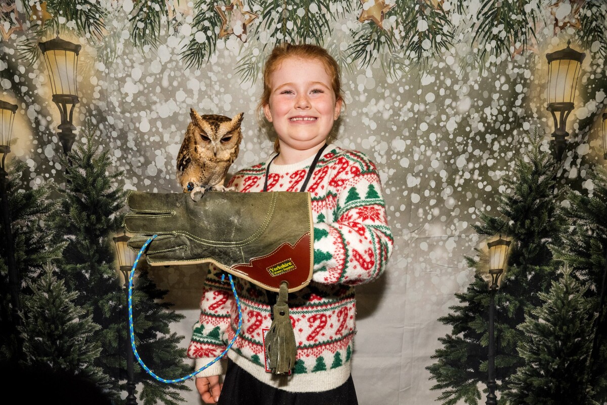 Festive fun in full swing at Amazon in Swansea  