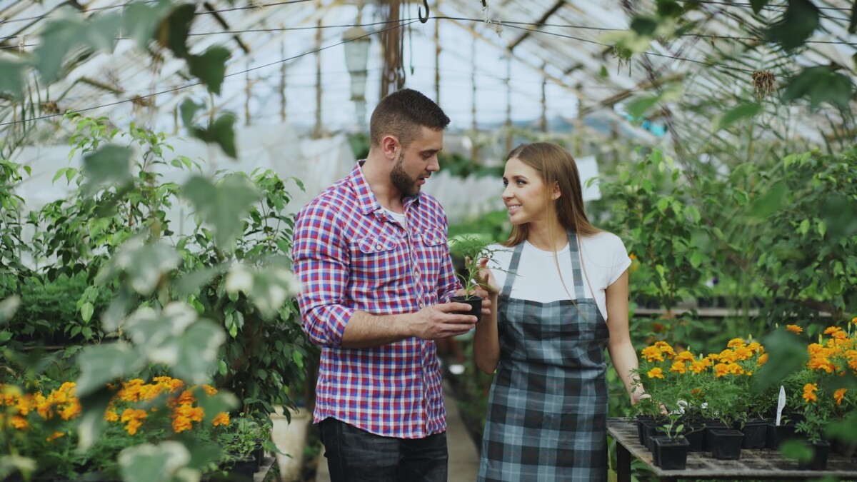 Couple shopping for plants in a greenhouse.