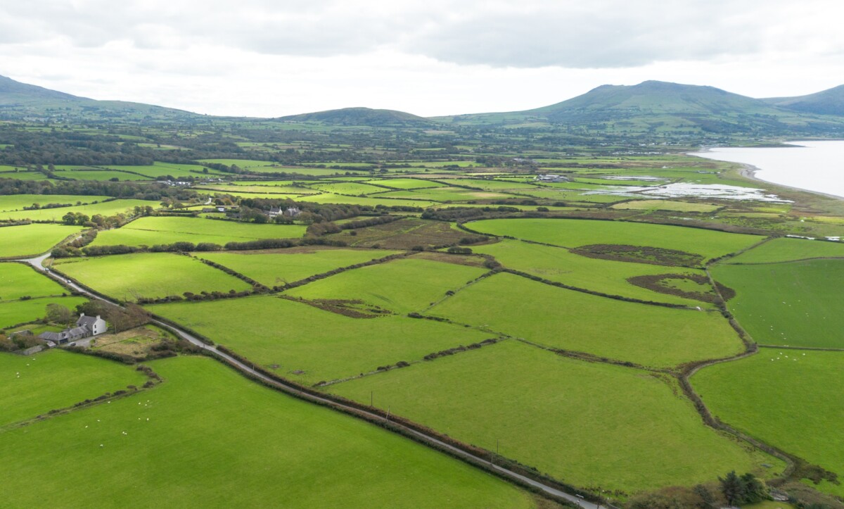 Historic North Wales organic estate releases 400 more acres in major land sale