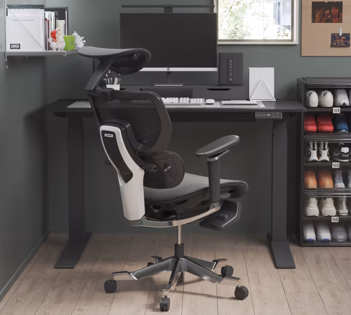 Introducing The Amazing FlexiSpot Ergonomic Chair With Dynamic Back System (C7 Morpher)
