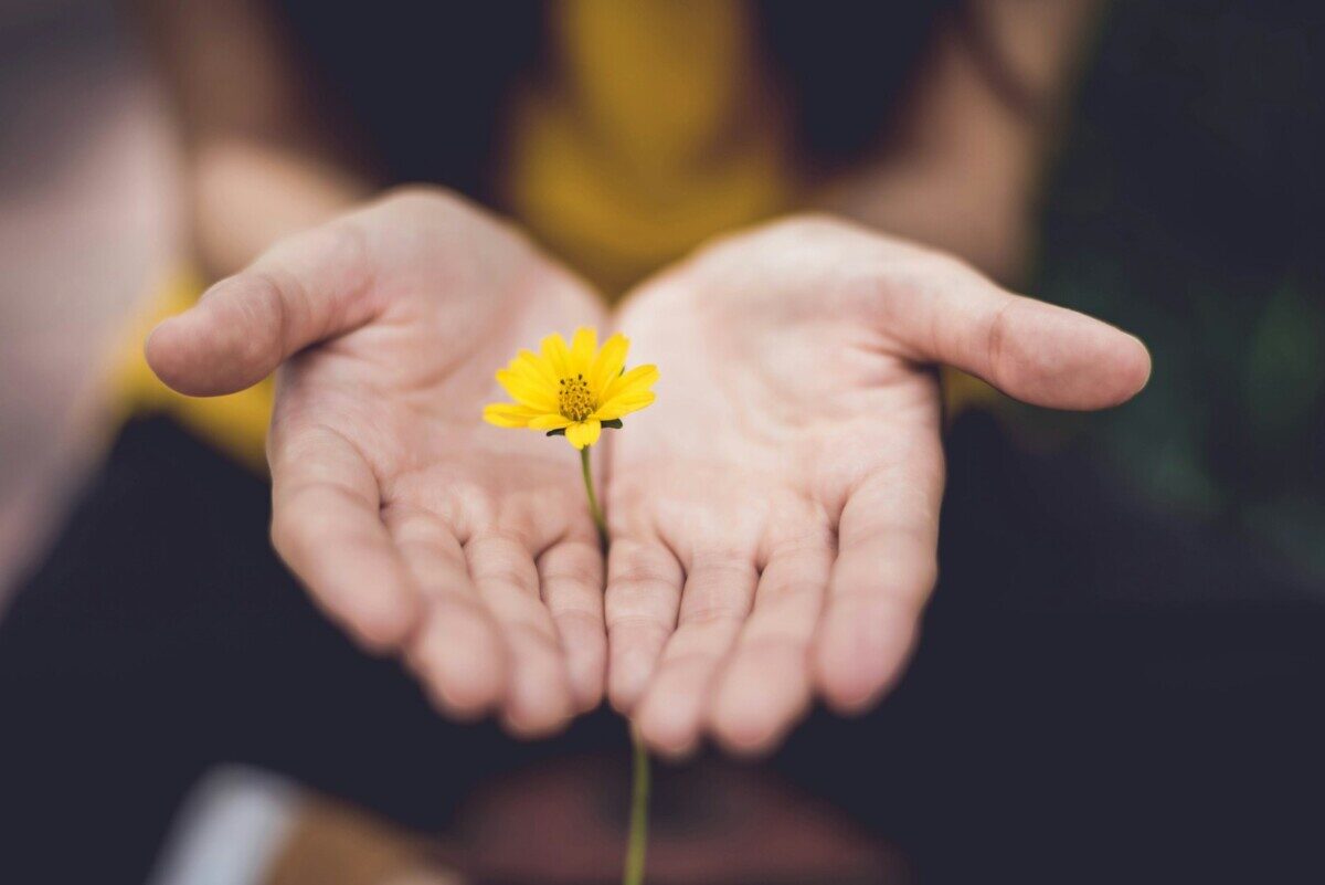 The Wellness illusion – why a week won’t cut it with your wellbeing culture 