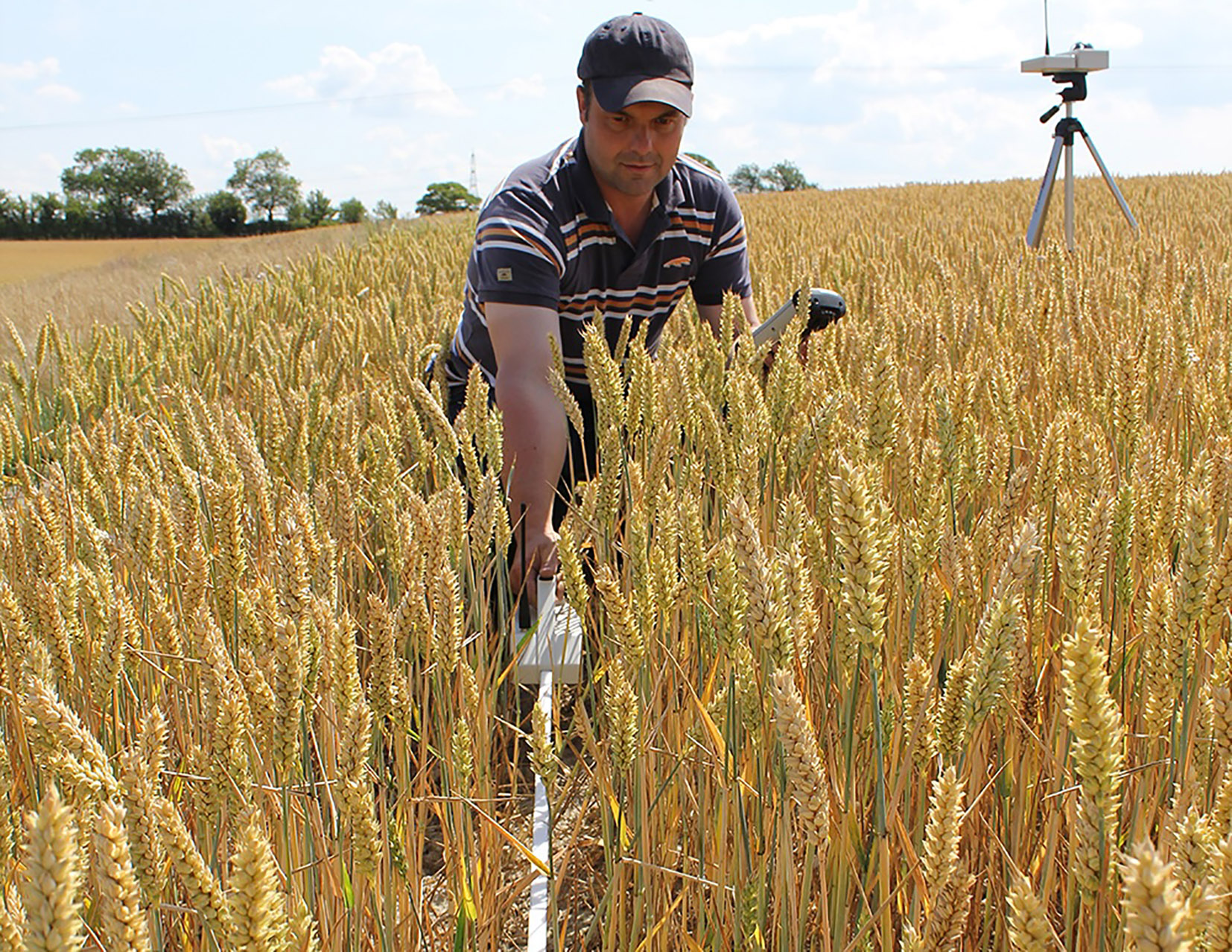 Delta-T cultivates £5m in sales as it toasts 55 years in business
